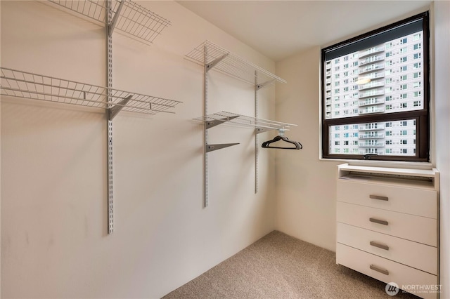 spacious closet with carpet flooring