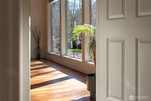 doorway with wood finished floors