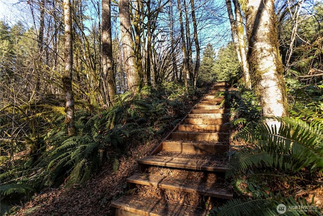 view of yard featuring stairs