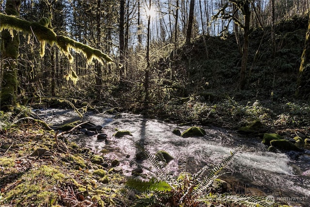 view of landscape featuring a forest view