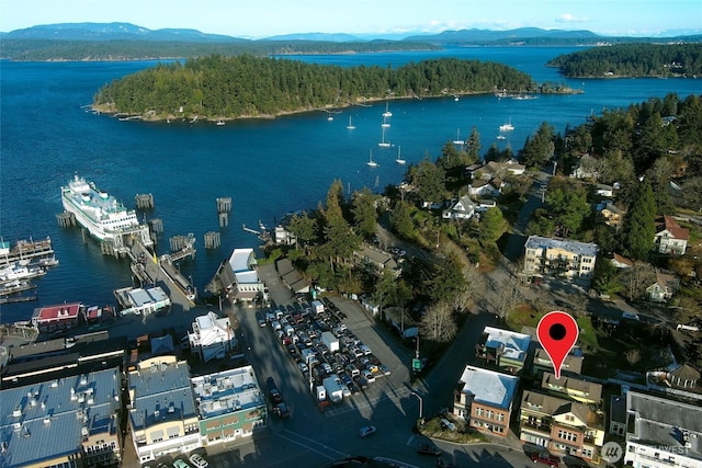 bird's eye view featuring a water and mountain view