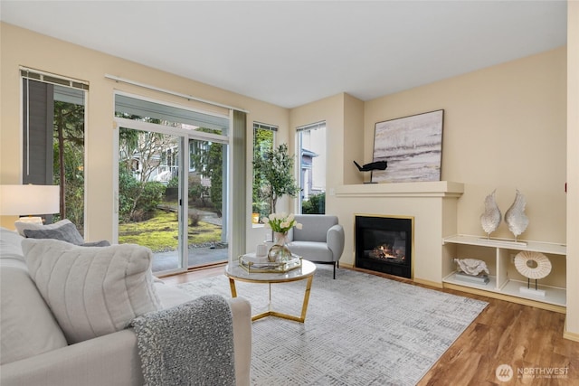 living room featuring a glass covered fireplace and wood finished floors