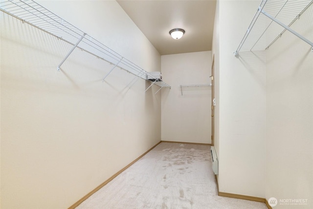 walk in closet featuring light colored carpet