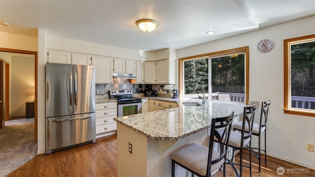 kitchen with dark wood-style floors, light stone counters, a peninsula, stainless steel appliances, and a sink