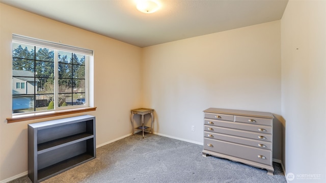 interior space with carpet and baseboards