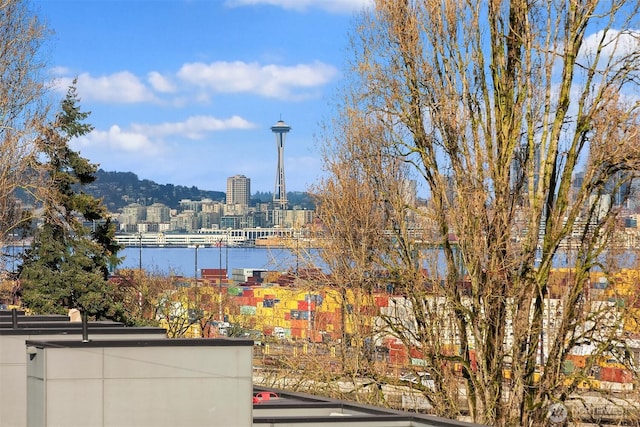 property view of water with a city view