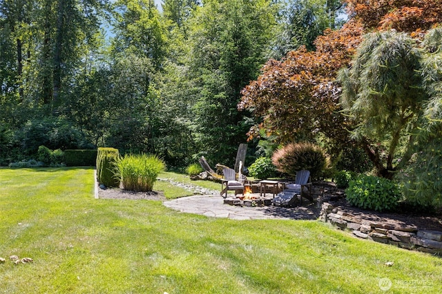 view of yard with a patio area