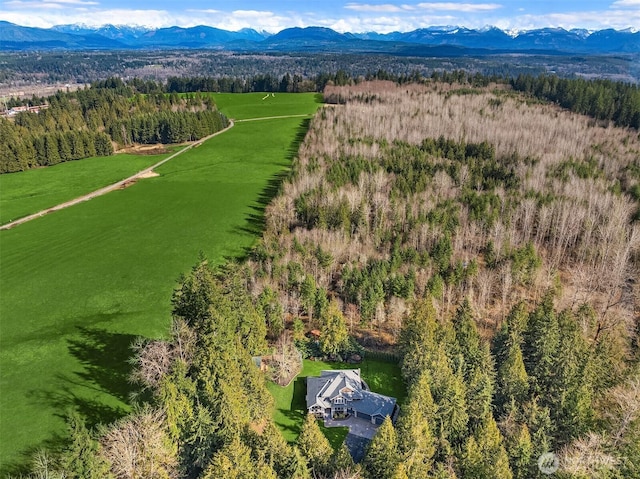 bird's eye view featuring a mountain view and a view of trees