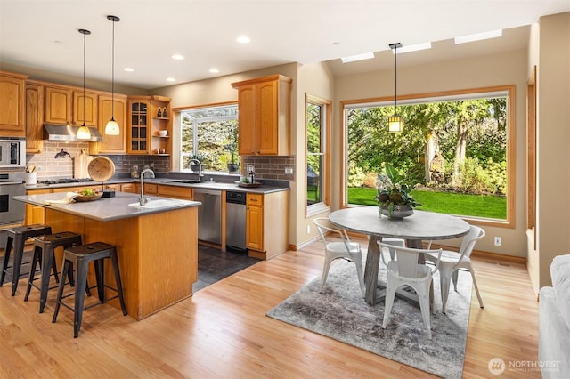 kitchen with light wood-style flooring, under cabinet range hood, a sink, a kitchen breakfast bar, and appliances with stainless steel finishes