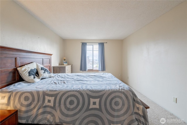 carpeted bedroom with a textured ceiling