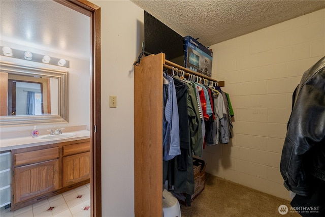 spacious closet featuring a sink