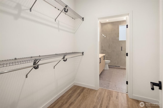 walk in closet with light wood finished floors