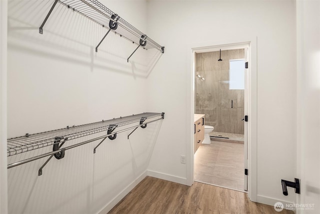 walk in closet with light wood finished floors