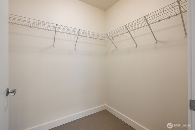 view of walk in closet