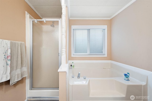 bathroom with separate shower and tub and crown molding