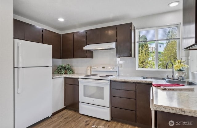 kitchen featuring sink, white appliances, dark brown cabinetry, and light hardwood / wood-style flooring