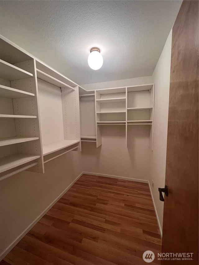 spacious closet featuring dark wood-type flooring