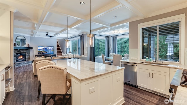 kitchen featuring dark wood-style flooring, a fireplace, open floor plan, stainless steel dishwasher, and light stone countertops