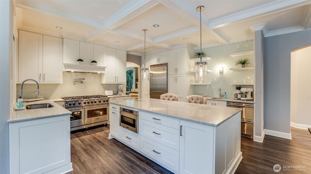 kitchen with open shelves, under cabinet range hood, high end appliances, and a sink