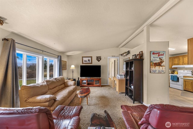 living room with vaulted ceiling, a textured ceiling, and light colored carpet