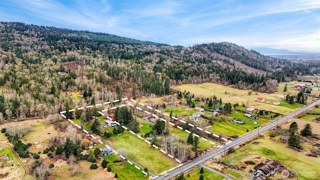 birds eye view of property with a mountain view