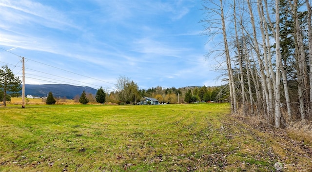 view of yard with a mountain view