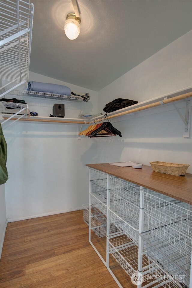 walk in closet featuring wood finished floors