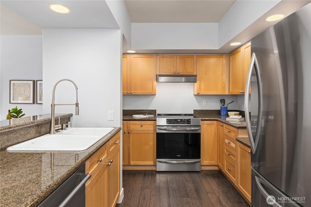 kitchen featuring under cabinet range hood, a sink, appliances with stainless steel finishes, dark stone counters, and dark wood finished floors