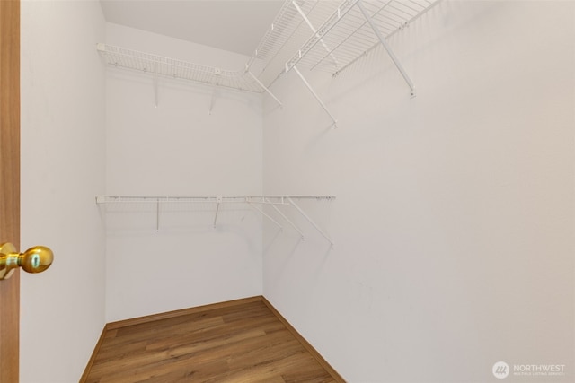 spacious closet with wood finished floors