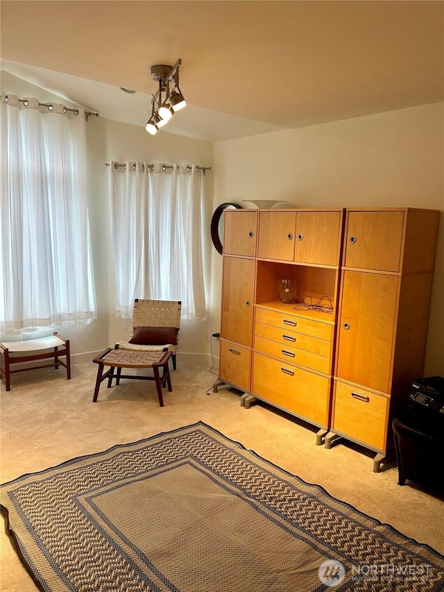 sitting room featuring light carpet