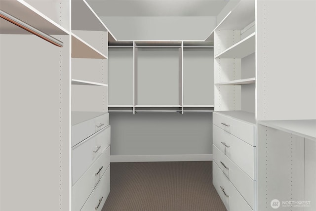 walk in closet with carpet