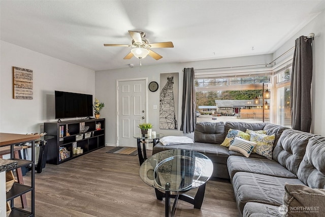 living area featuring a ceiling fan and wood finished floors