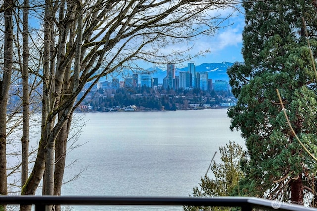 view of water feature with a city view