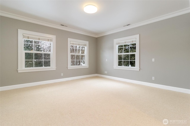 carpeted empty room with baseboards, visible vents, and crown molding