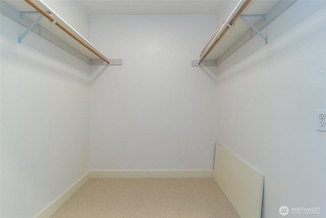 spacious closet with carpet flooring