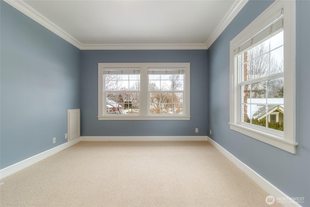 carpeted spare room with baseboards, a wealth of natural light, and crown molding