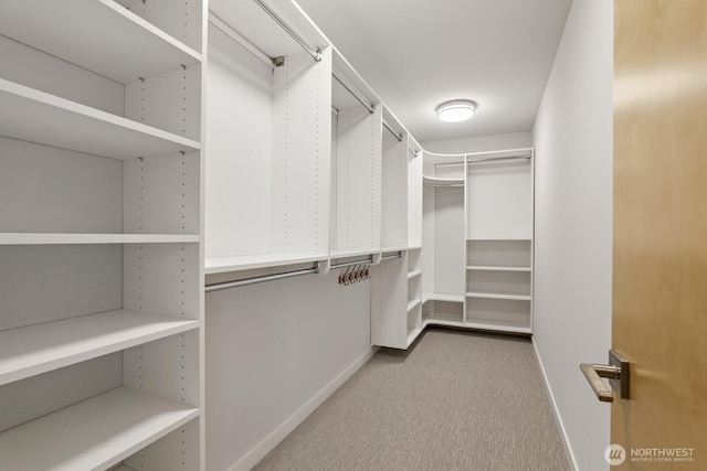 walk in closet featuring carpet floors