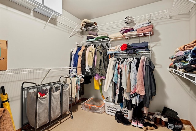 spacious closet with carpet floors