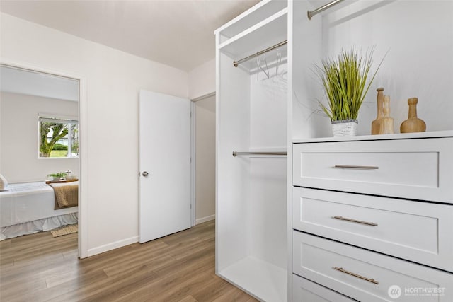 walk in closet featuring light wood-style floors