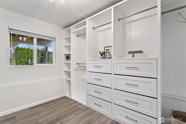 walk in closet featuring light wood-style floors