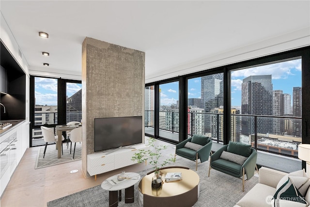 living area featuring light wood-type flooring and a wealth of natural light