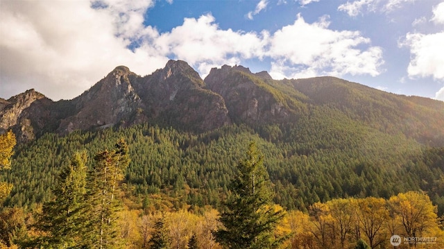 property view of mountains featuring a view of trees