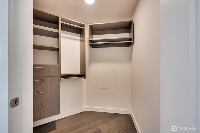 spacious closet featuring dark wood-style floors