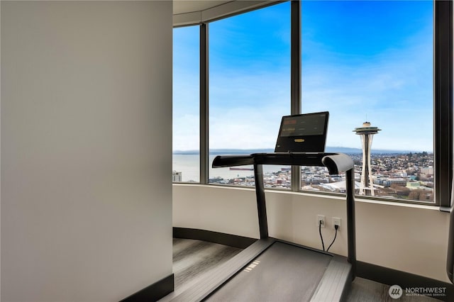 exercise room featuring a water view, a healthy amount of sunlight, baseboards, and wood finished floors