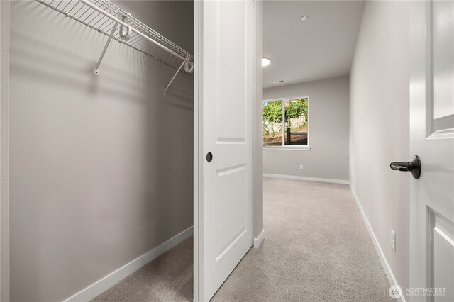 spacious closet with light carpet