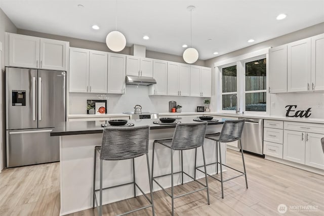 kitchen featuring stainless steel appliances, white cabinets, and under cabinet range hood