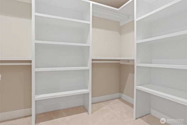 walk in closet featuring carpet flooring