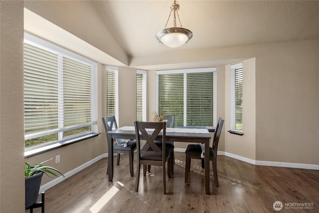 dining area featuring vaulted ceiling, plenty of natural light, baseboards, and wood finished floors