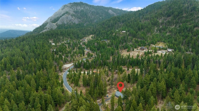 view of mountain feature with a forest view