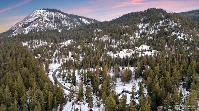 mountain view featuring a view of trees